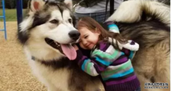 <b>這幾種表現(xiàn)證明狗狗真的很愛(ài)你！</b>