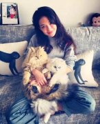 全世界最貴的貓都在這了！大多數人一輩子都沒