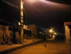 記憶中的老街巷口，有沒有一條等你回家的狗？