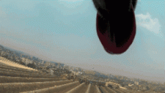 請你放過狗狗，不愛，但請別傷害！