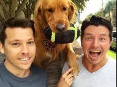 論演技，你恐怕比不上一只狗。。。