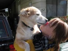 狗狗喜歡舔你，原來(lái)是想告訴你這些！