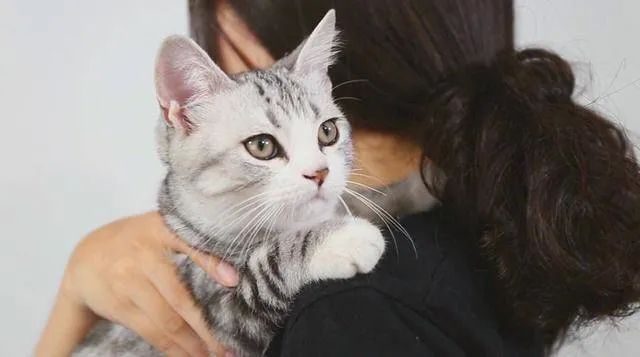 元旦丨新的一年，寵愛有加